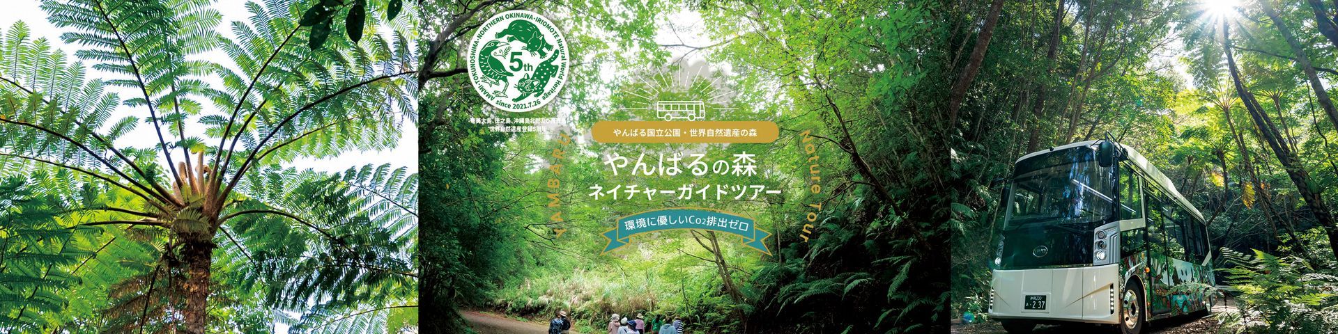 やんばるの森ネイチャーガイドツアー