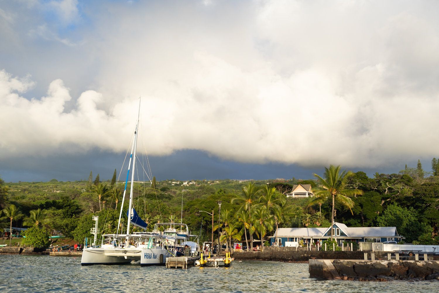 Sailboats docked in a harbor, under cloudy skies, with green foliage and buildings along the shore.