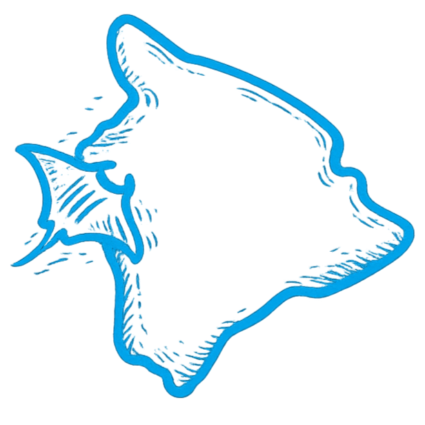 Outline of Hawaii, blue line drawing.