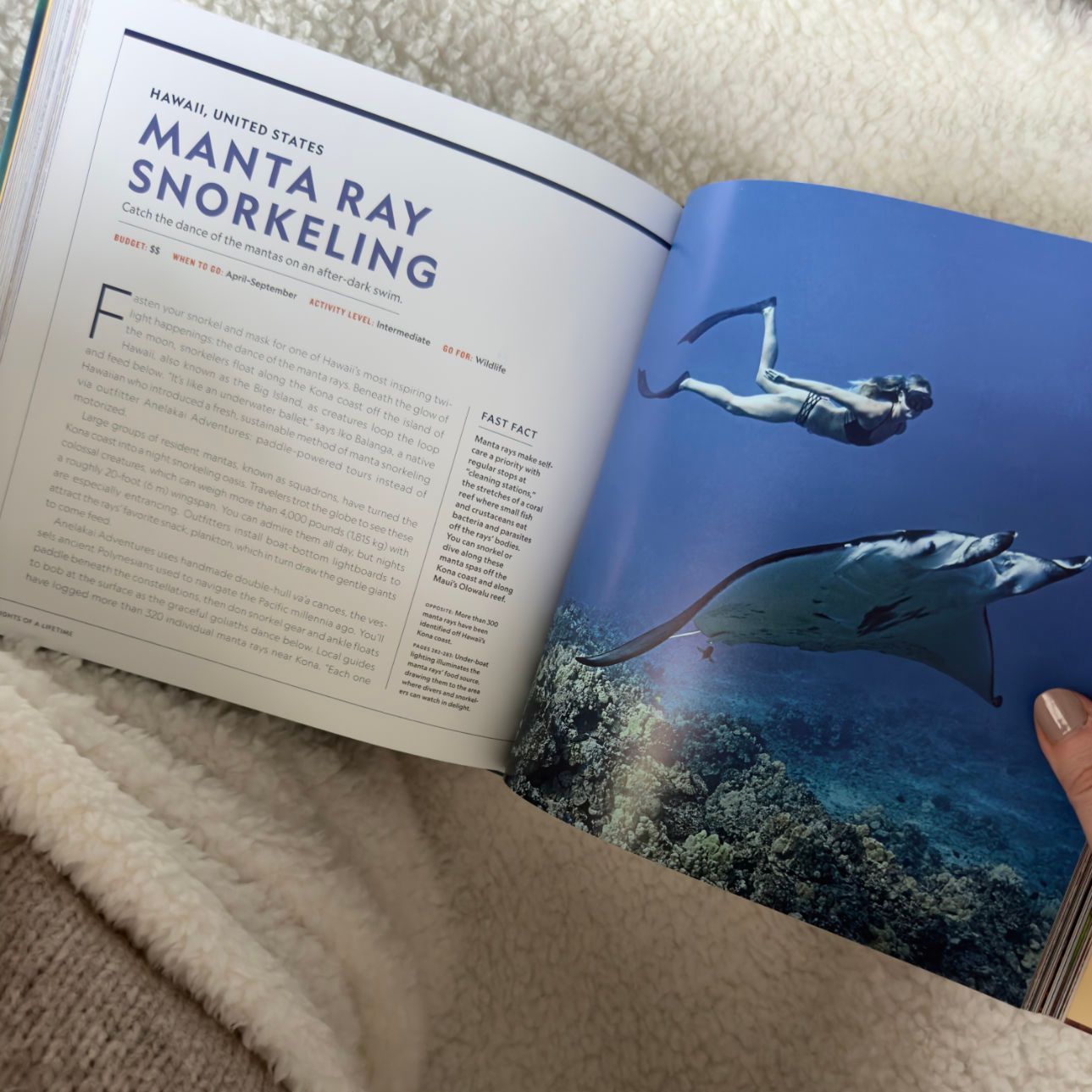 A book is open to a page about manta ray snorkeling