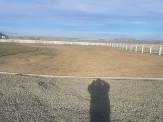 A large, empty dirt riding arena enclosed by a white post-and-rail fence under a bright, clear blue sky.