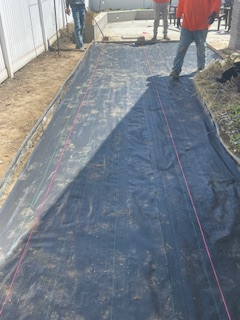 Two workers standing on a long, black landscape fabric ground cover in a backyard during an outdoor construction project.