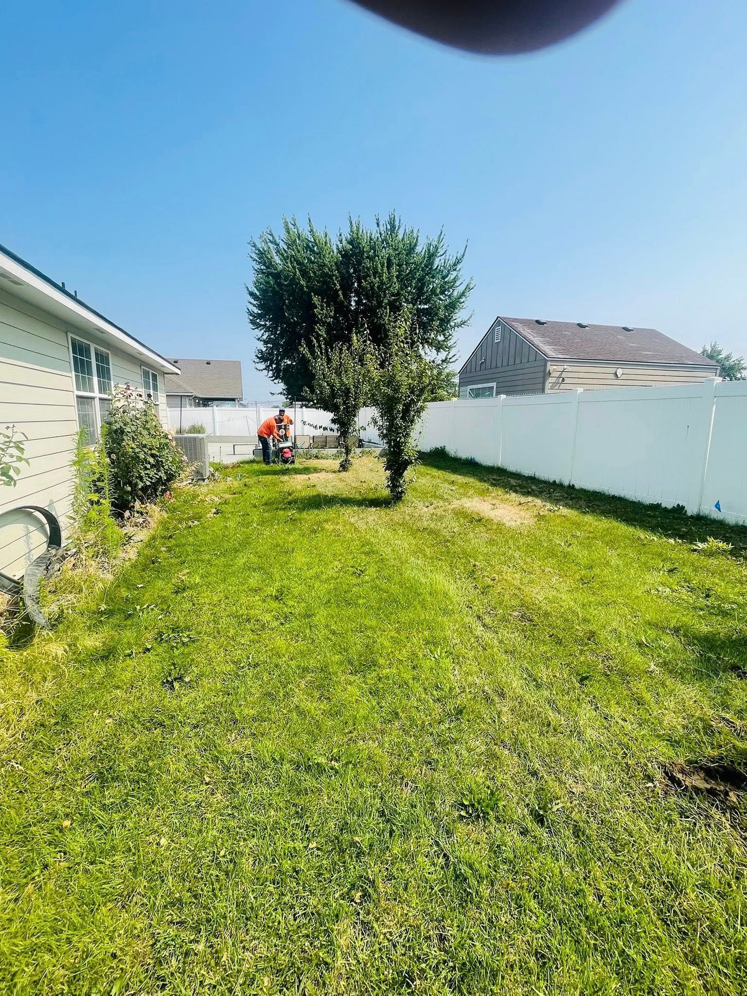 A person in a red shirt mows the grass in a sunny backyard lined with a white vinyl fence and a house.