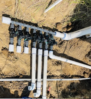 A hydrangea bush with white flowers grows along a fence in a backyard.