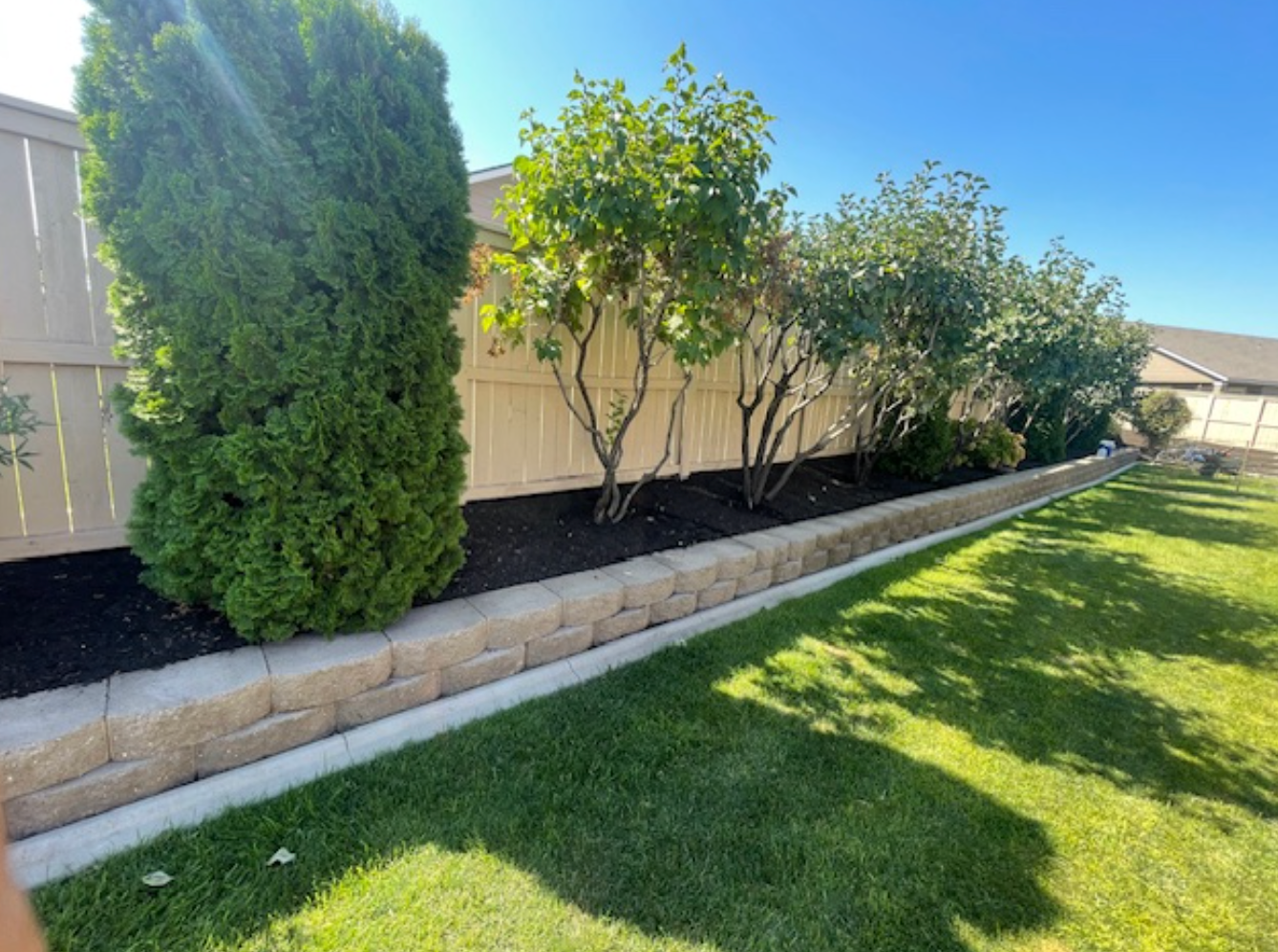 A backyard featuring a tan fence.