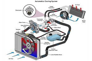 Cooling System Repair | Advanced European Service