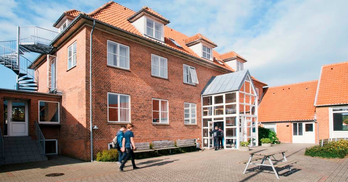 Grøn mark med højt græs i forgrunden, træer i baggrunden og overskyet himmel.