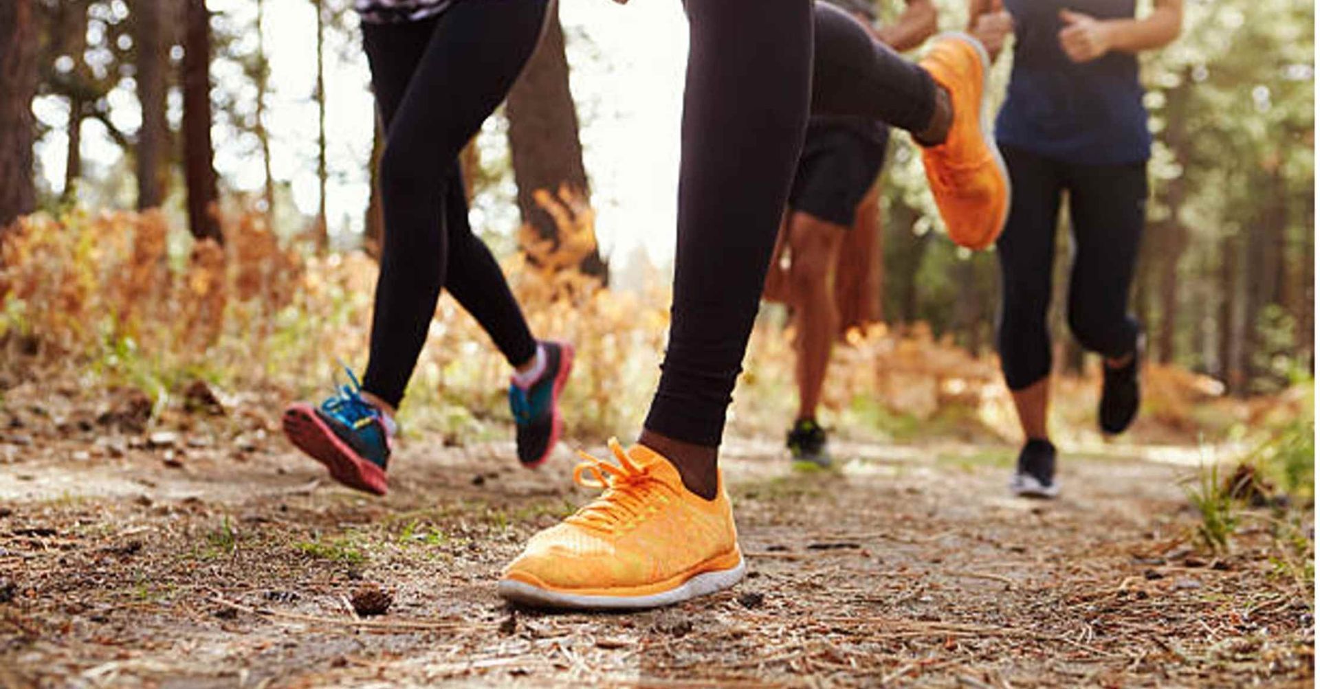 Gruppe af mennesker løber på en grussti gennem en skov, iført sportssko og -tøj.