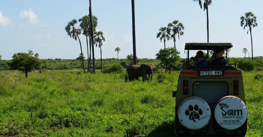 Safari-jeep med turister, der betragter et næsehorn i en græsmark; palmer i baggrunden.