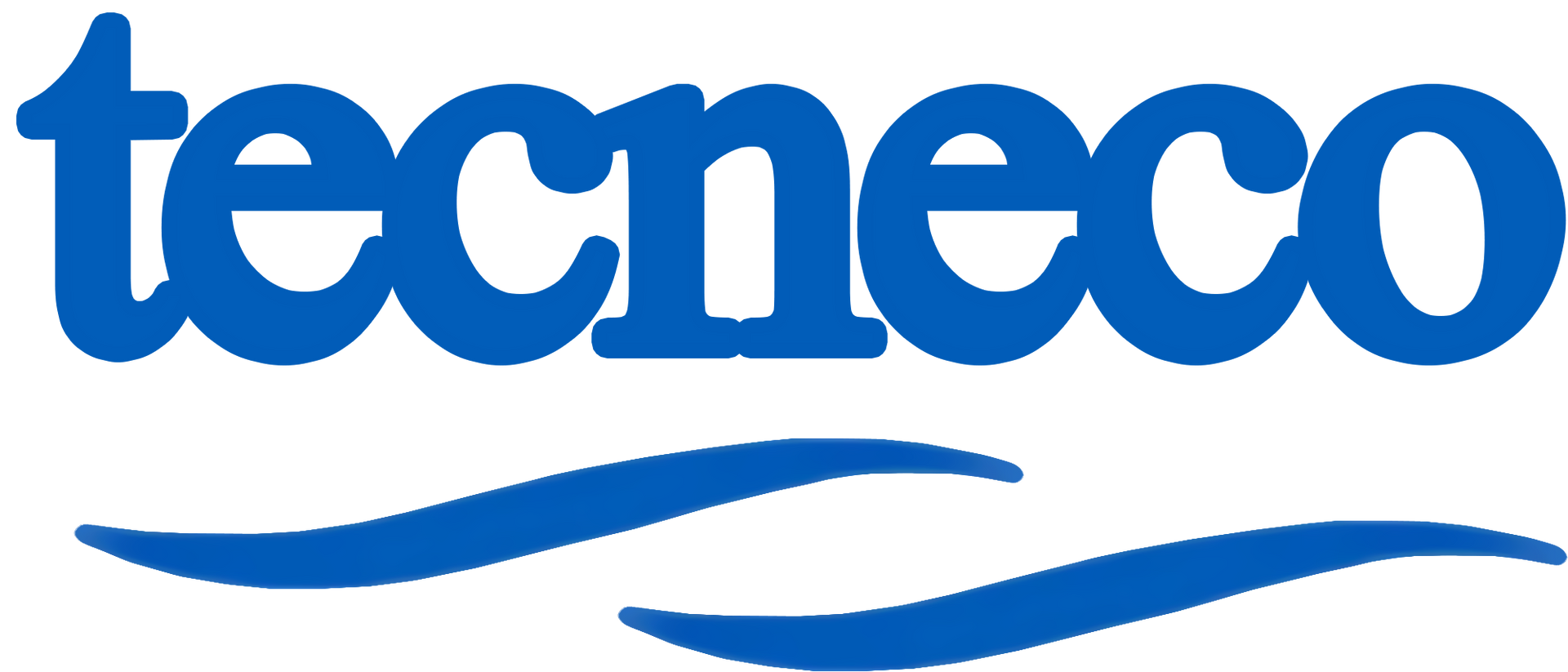 Macchine Pulizia Industriale Tecneco System Logo