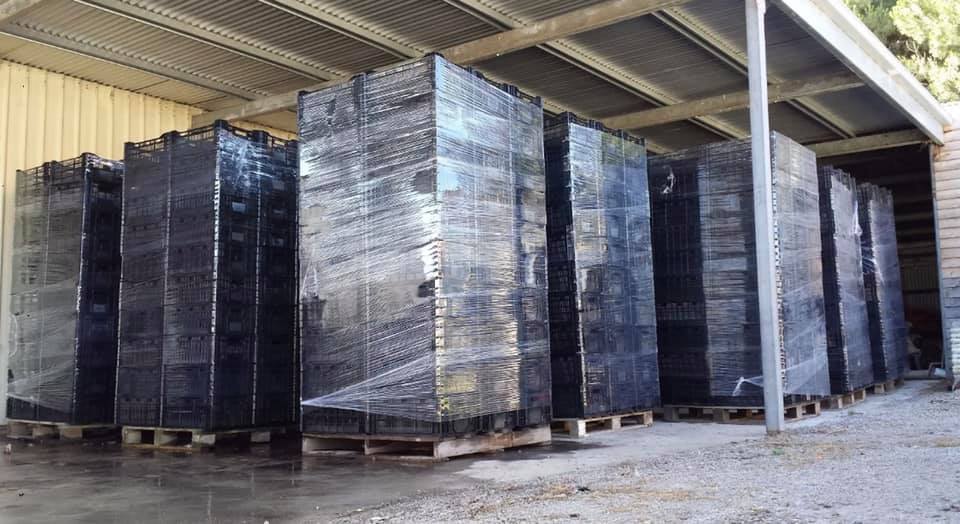 1800 forklift img-13