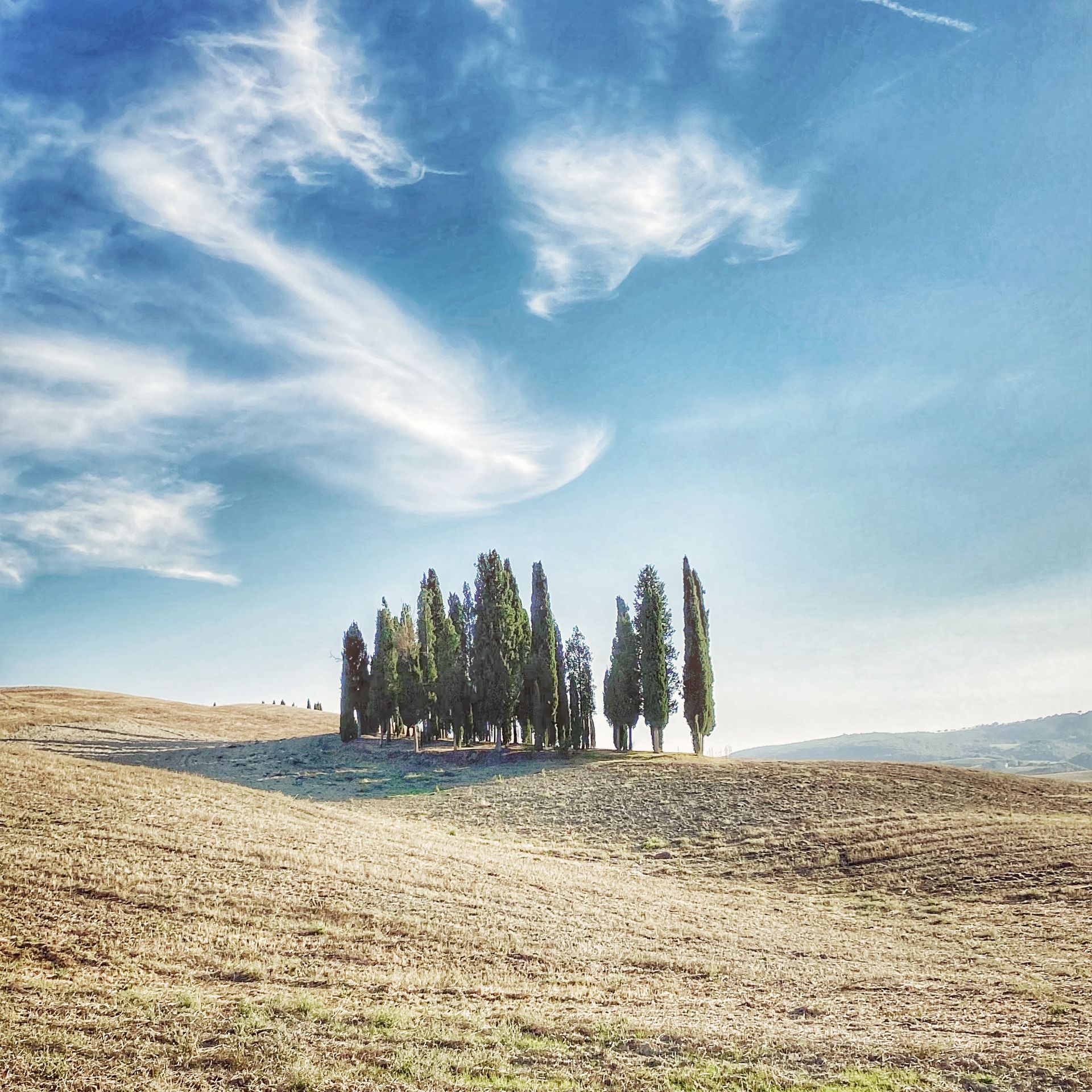 TUSCANY