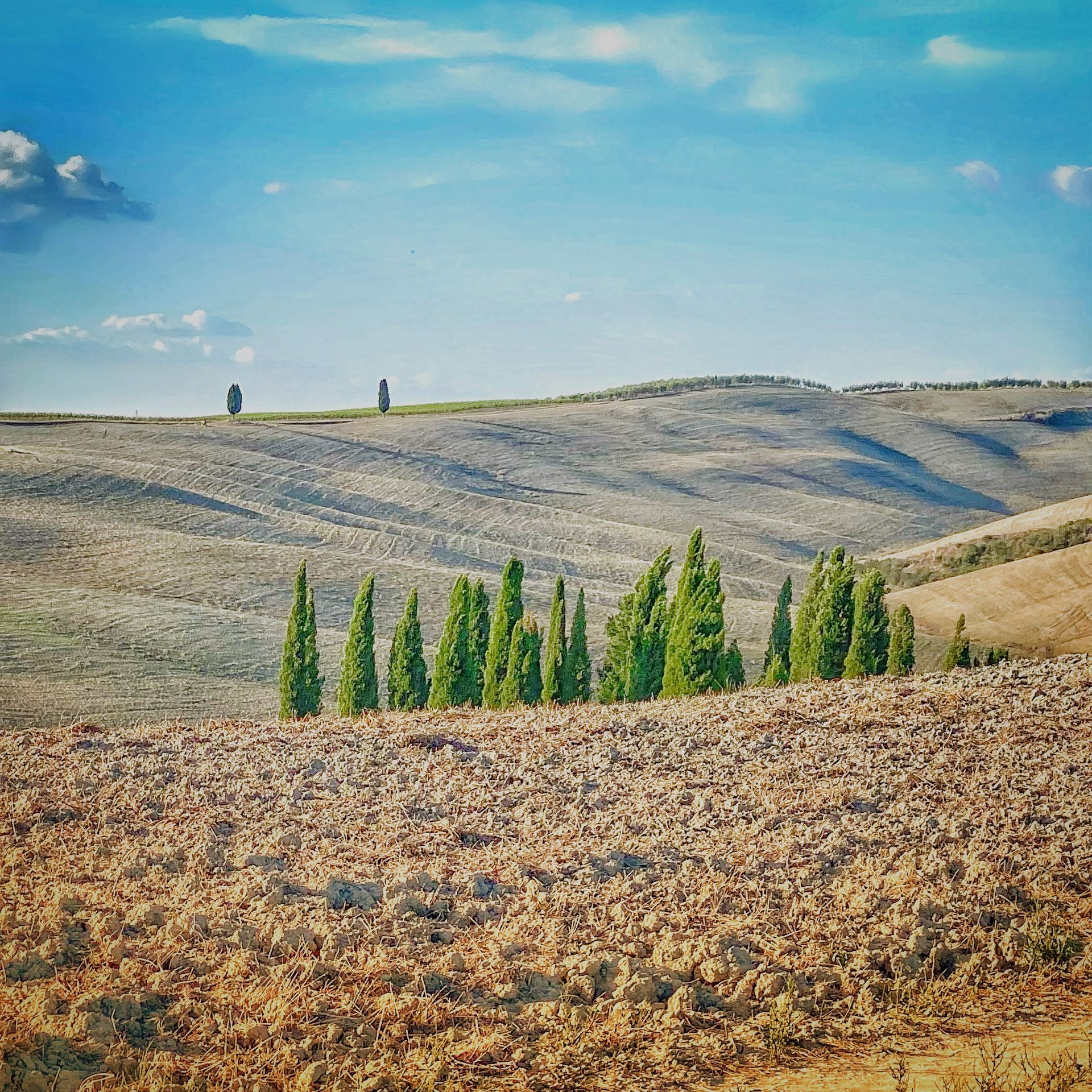 TUSCANY