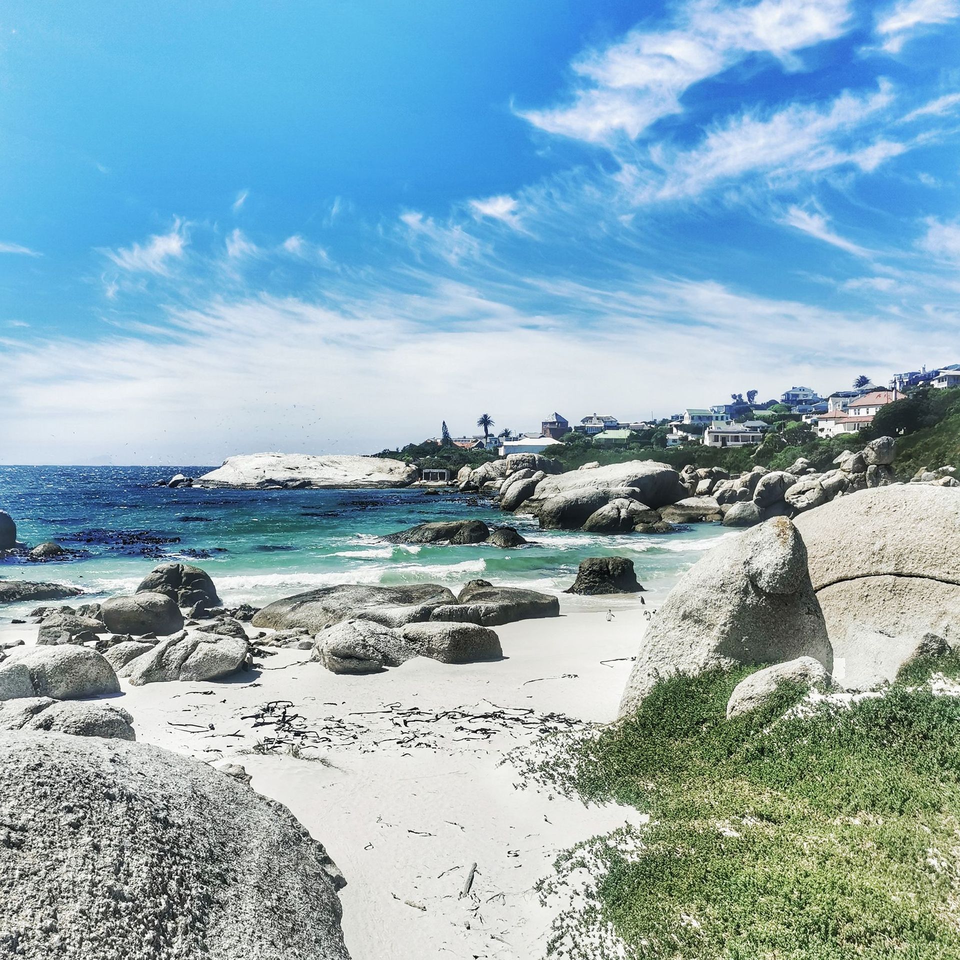 DIARY SOUTH AFRICA