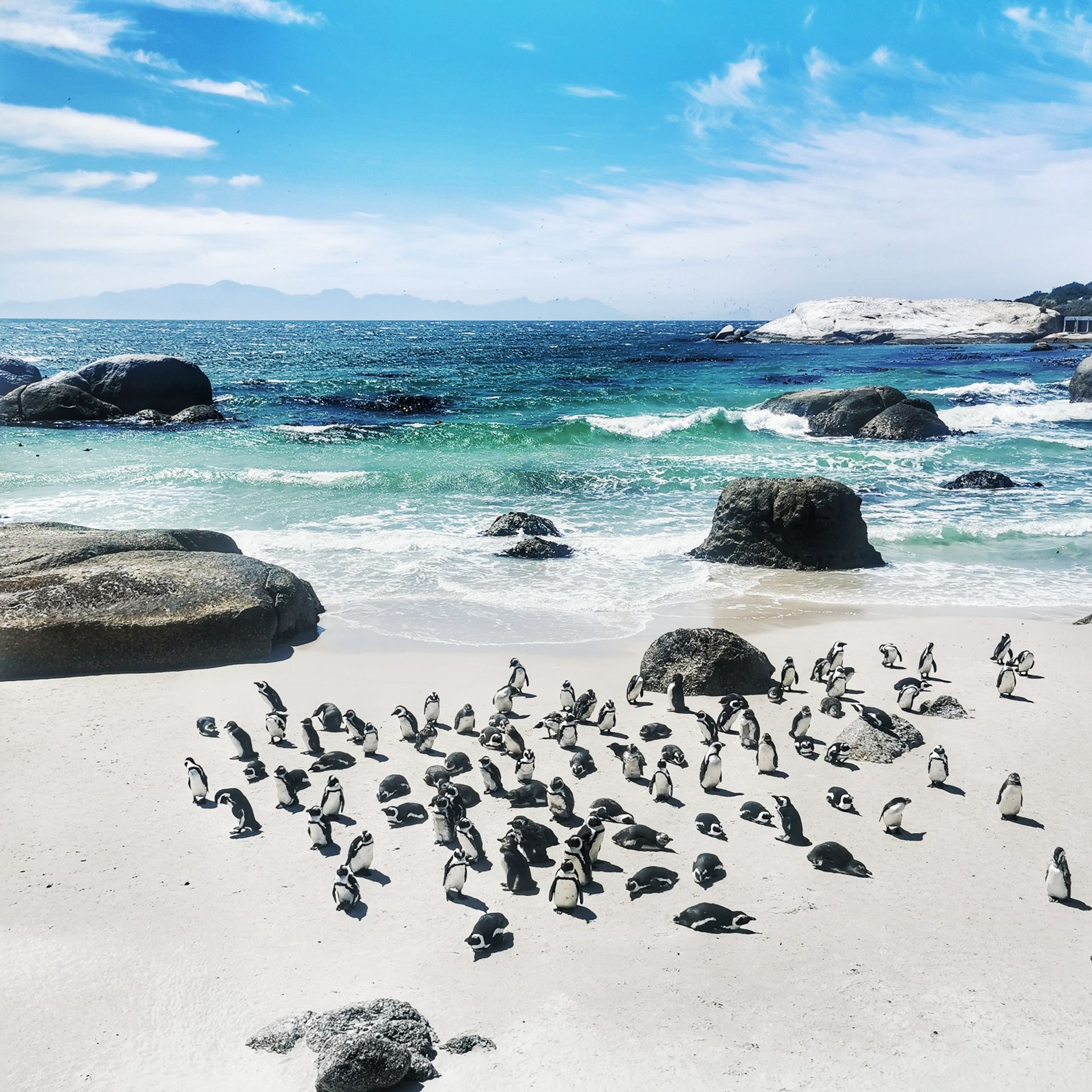 DIARY SOUTH AFRICA