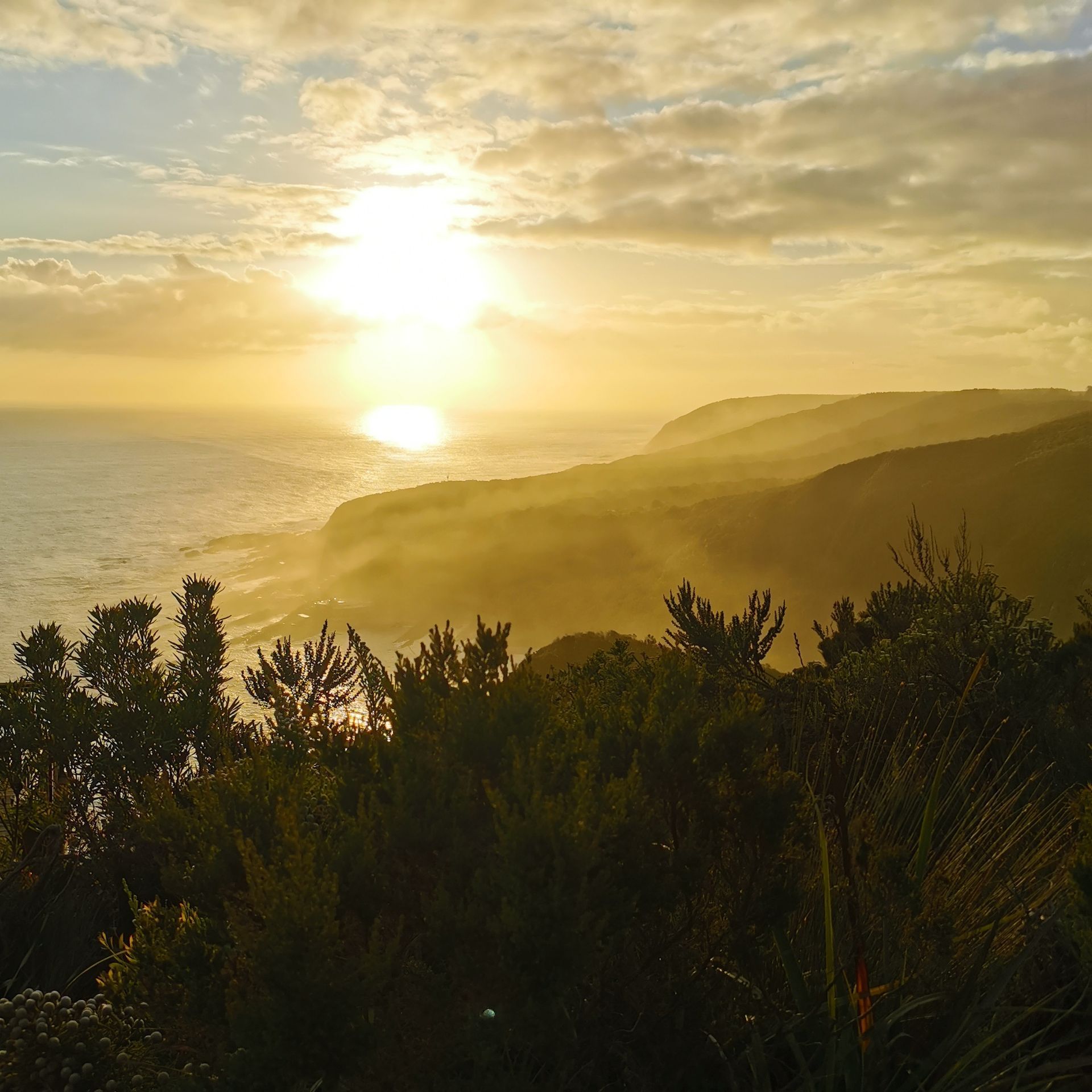 DIARY SOUTH AFRICA