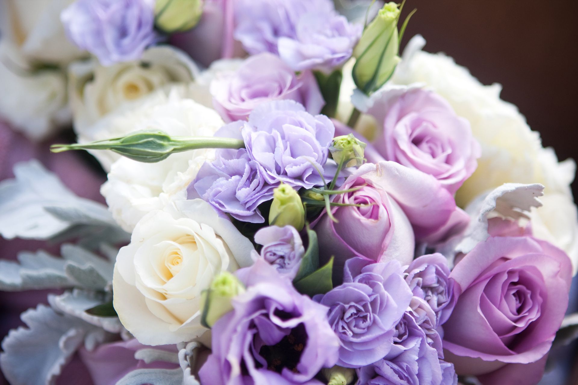 A close up of a bouquet of purple and white flowers.