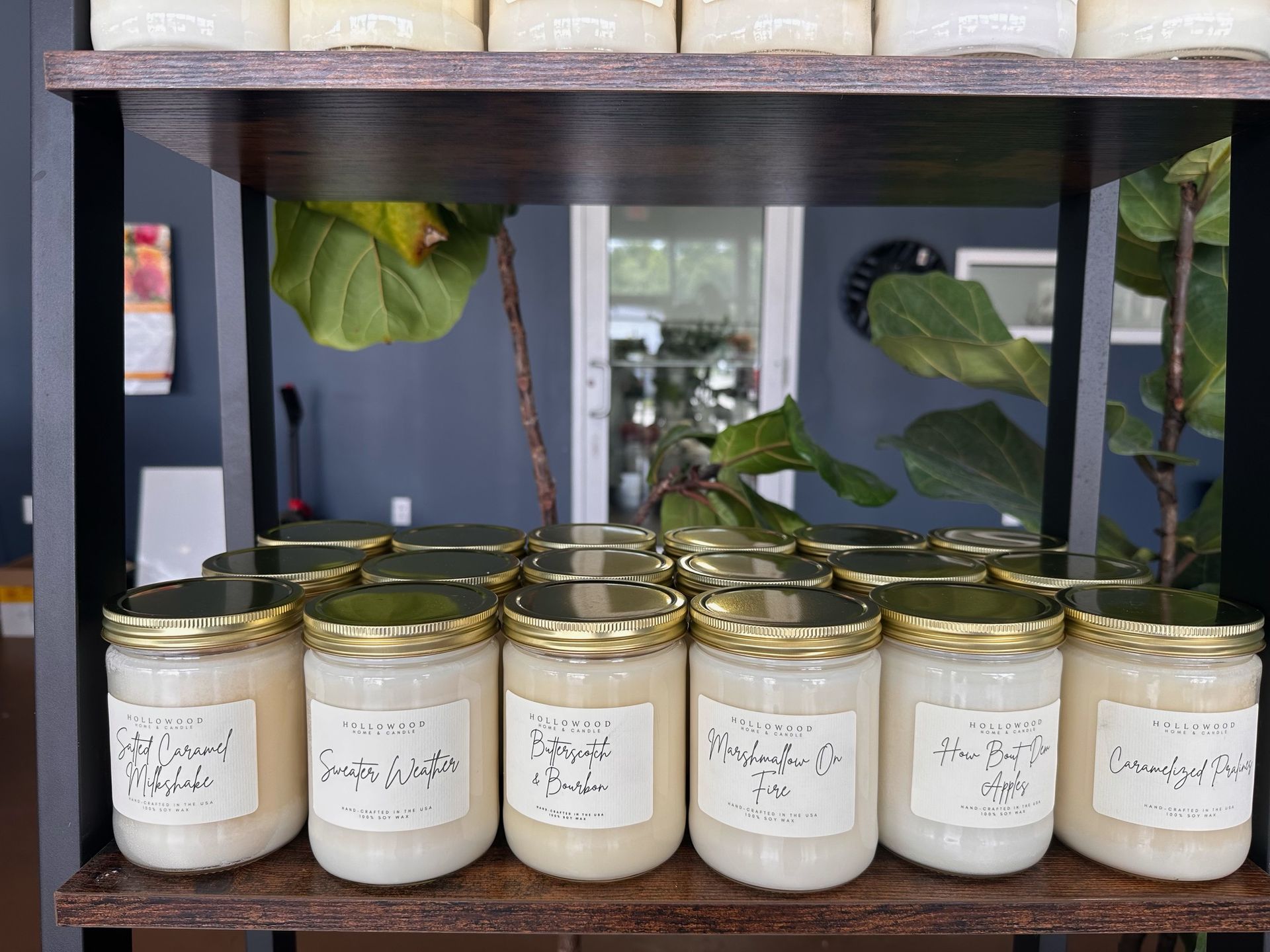 A room filled with potted plants and vases on shelves.