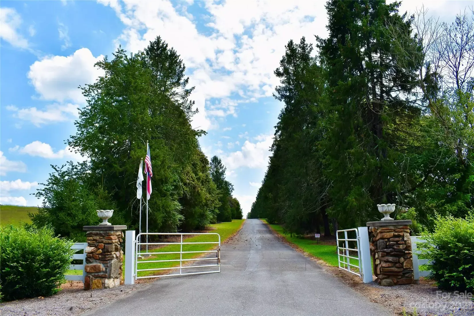 A road with trees on both sides and a gate in the middle