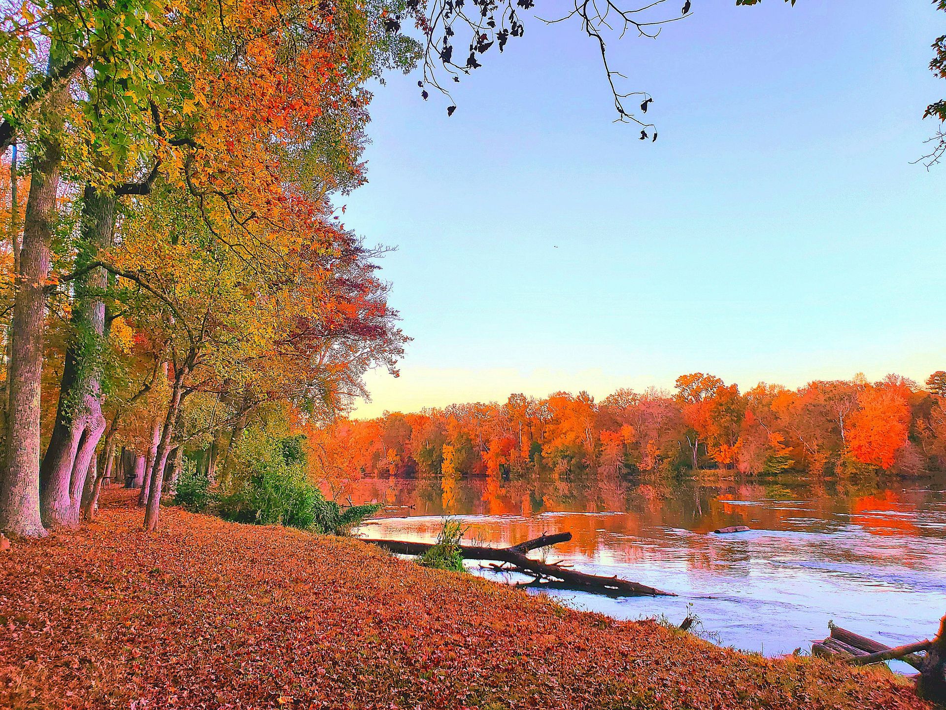 A painting of a river with trees in the background