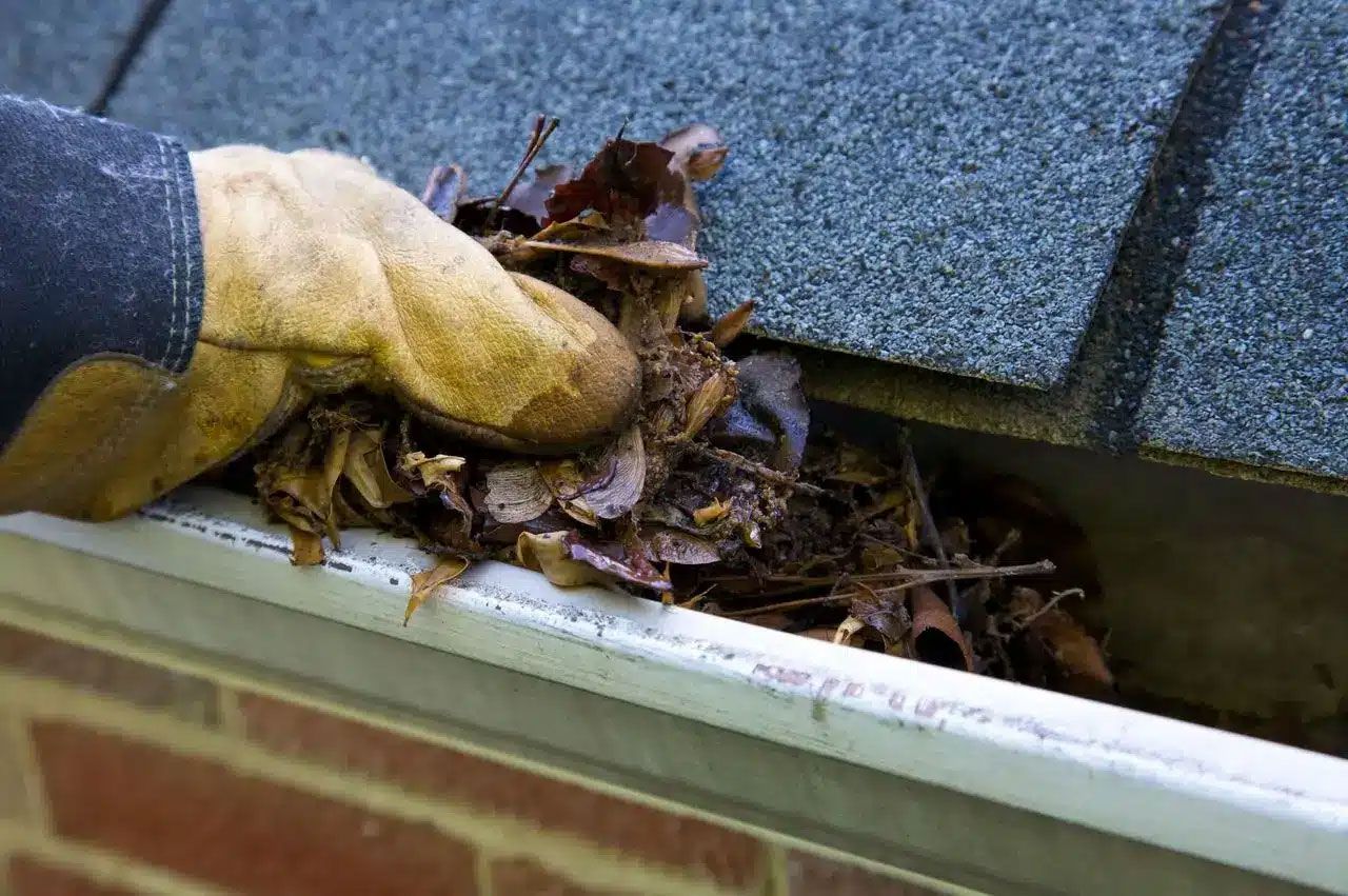 How To Clean Seamless Gutters And How Often You Should Do It.