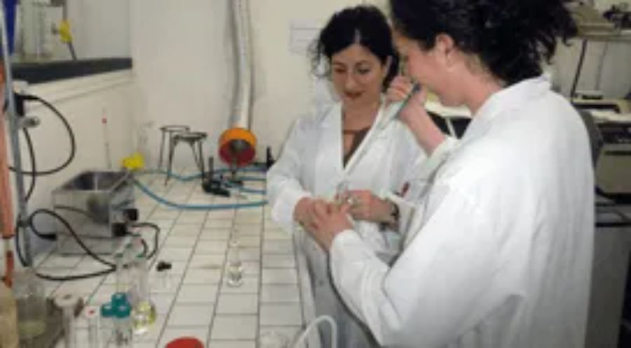 Analisi in laboratorio