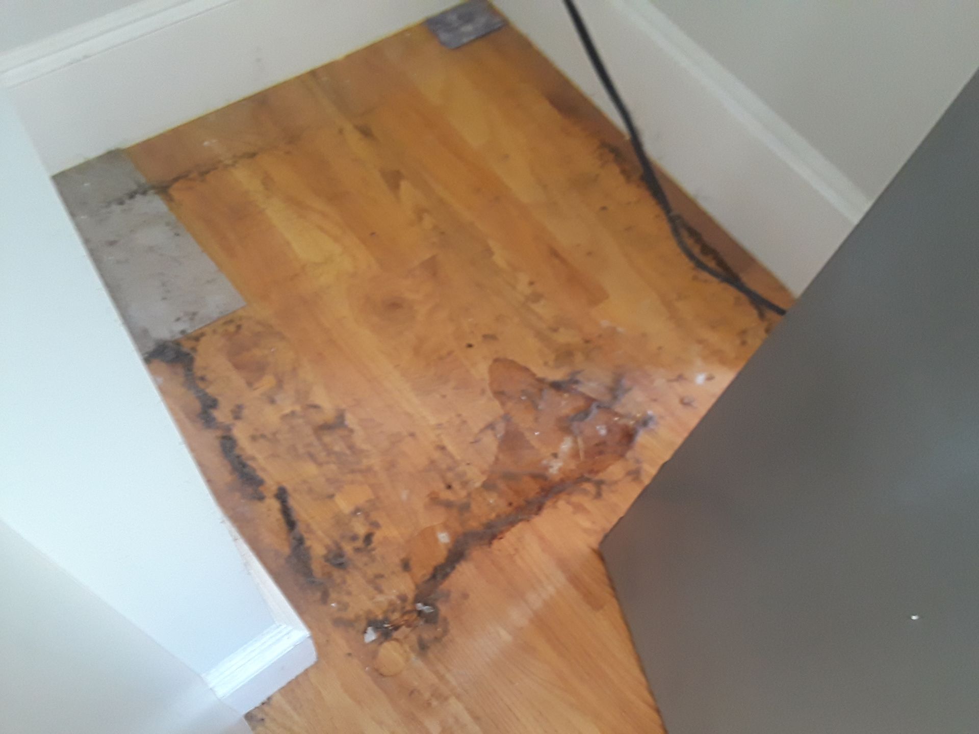 A close up of a wooden floor in a room.