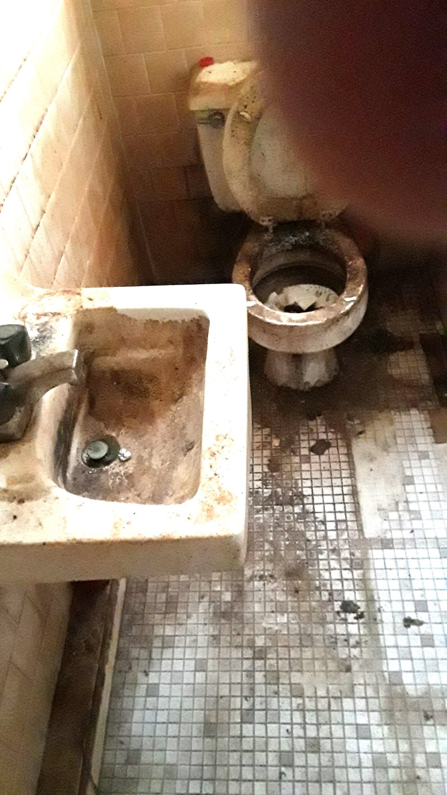 A bathroom with a sink and toilet in it.