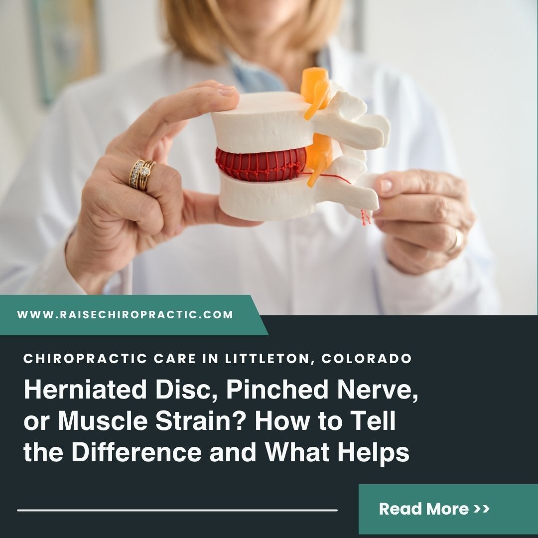 Herniated Disc, Pinched Nerve, or Muscle Strain? How to Tell the Difference and What Helps