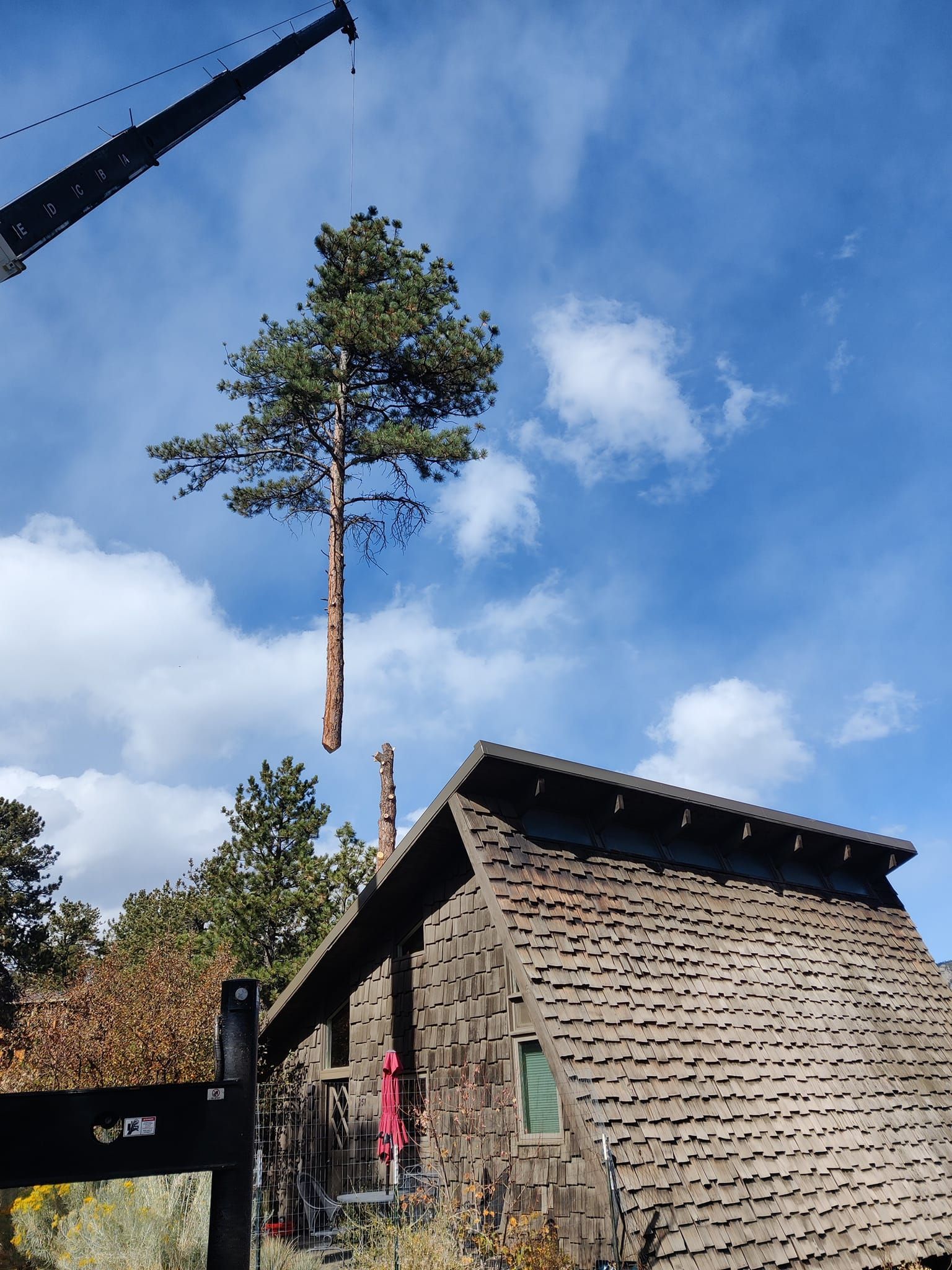 A crane is lifting a tree over a house