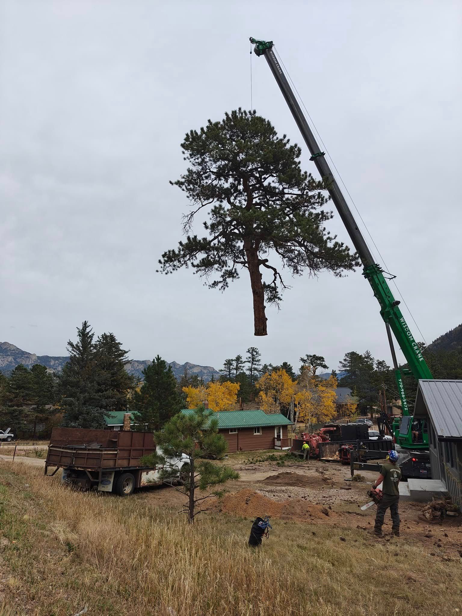 A large tree suspended by a green crane over a construction site in a rural area with cloudy skies.