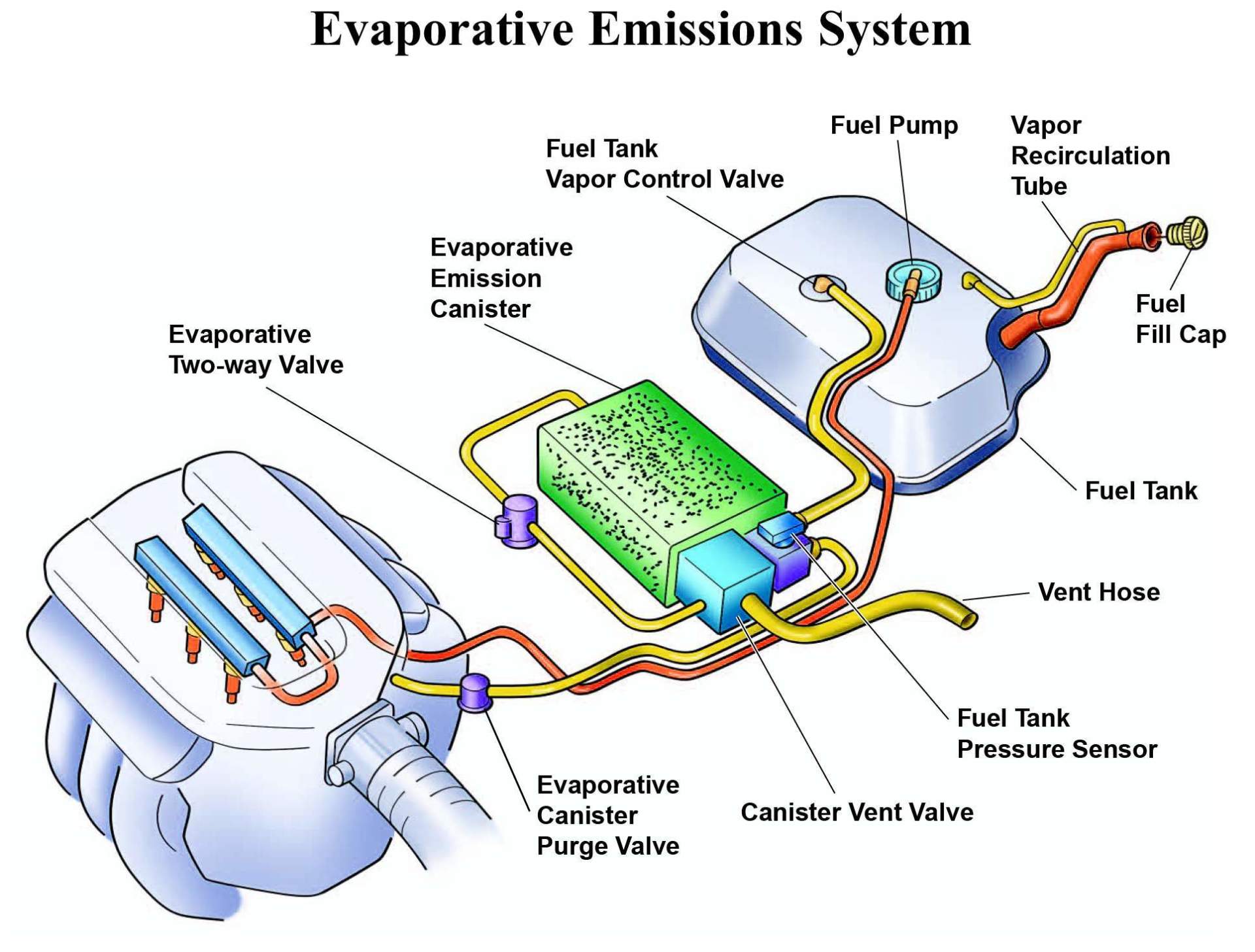 Evaporative Emissions System