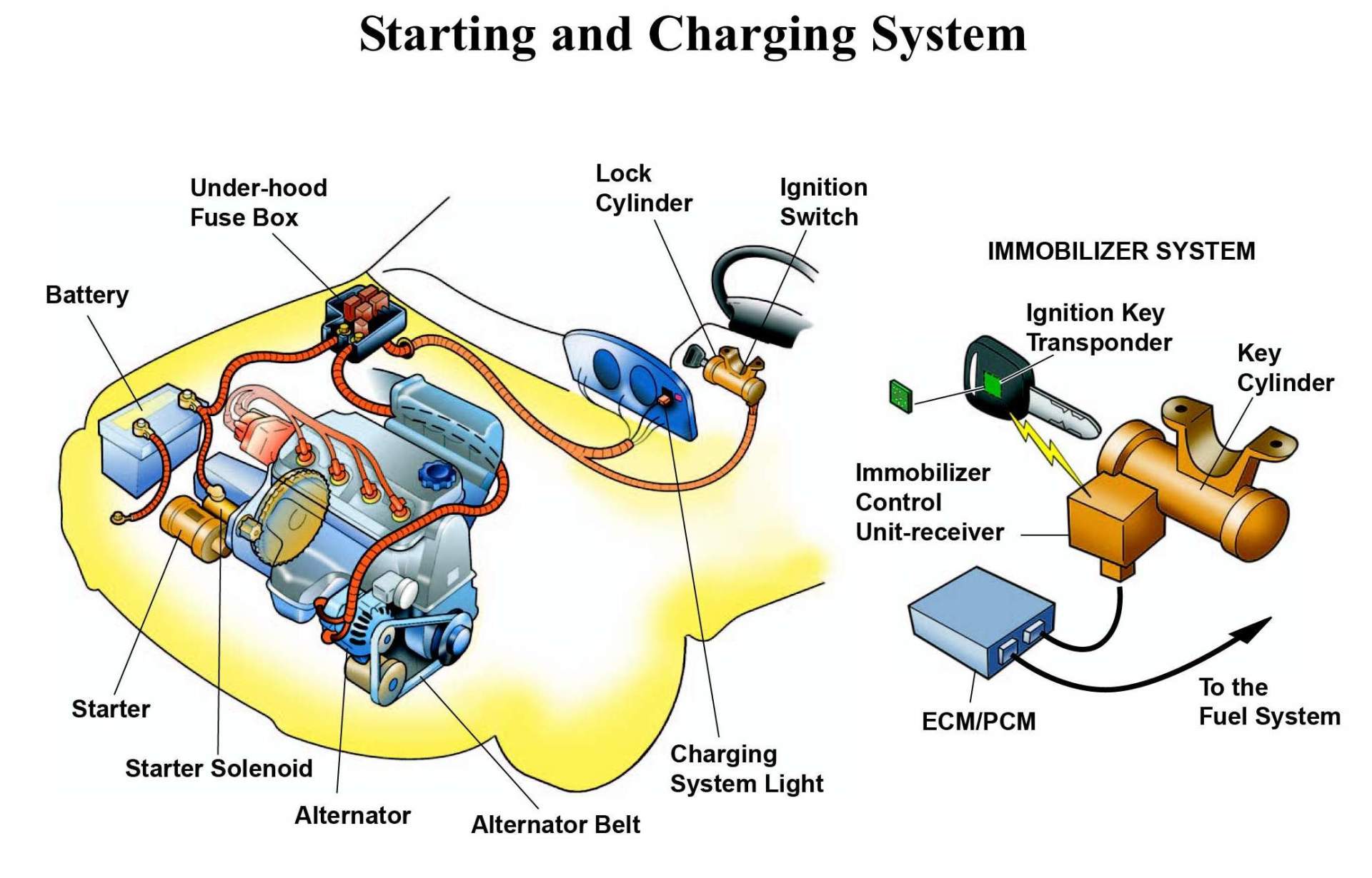 Starting and Charging System