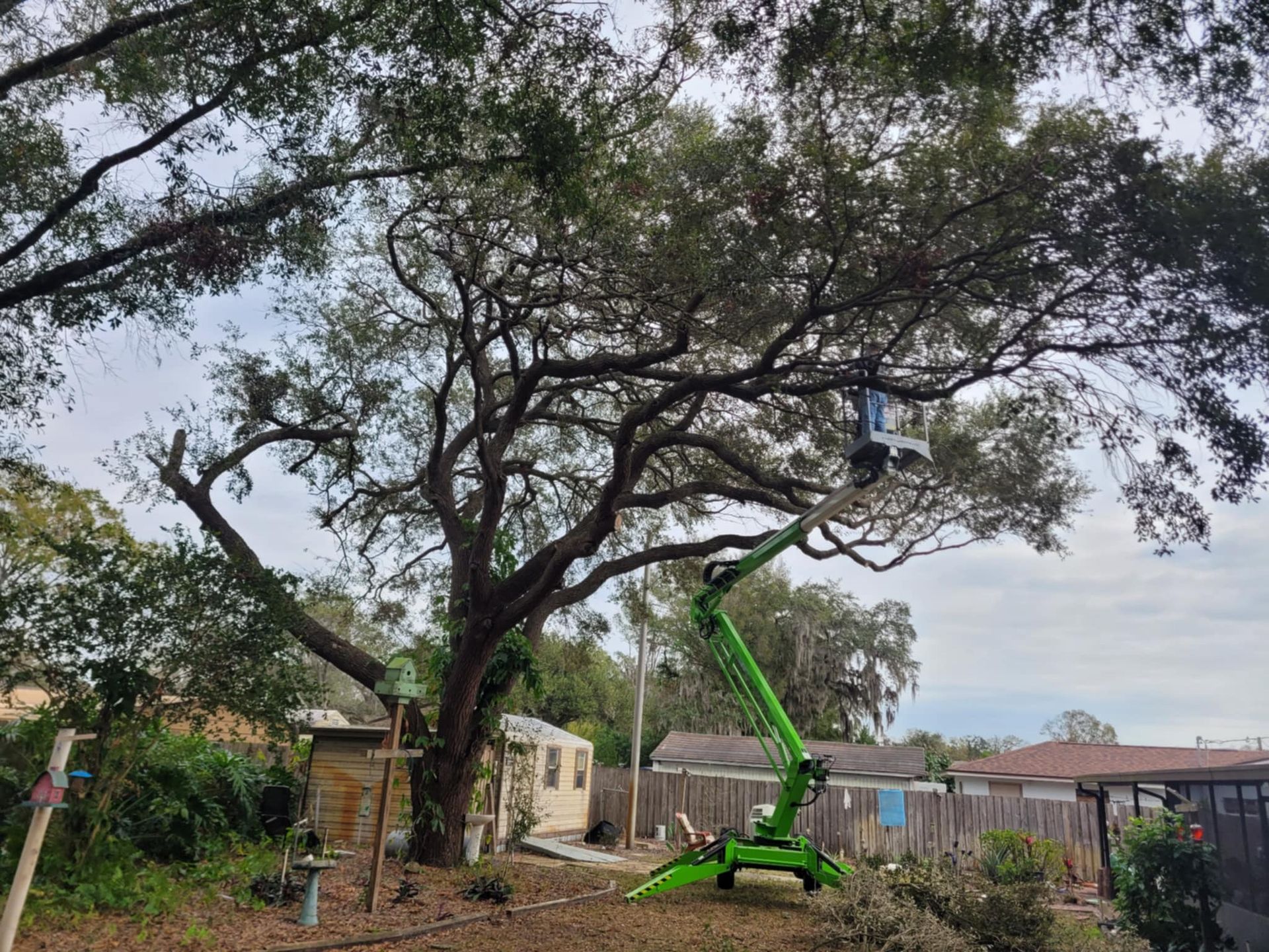 A green crane is cutting a tree in a yard
