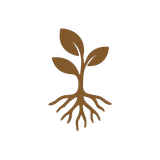 Brown sprout with leaves and roots on a beige background.