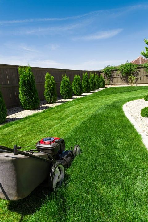 Mowing Grass — Pressure Cleaning Services in Toowoomba, QLD