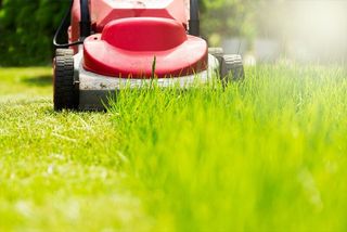 Lawn Mowing in the Garden — Pressure Cleaning Services in Toowoomba, QLD