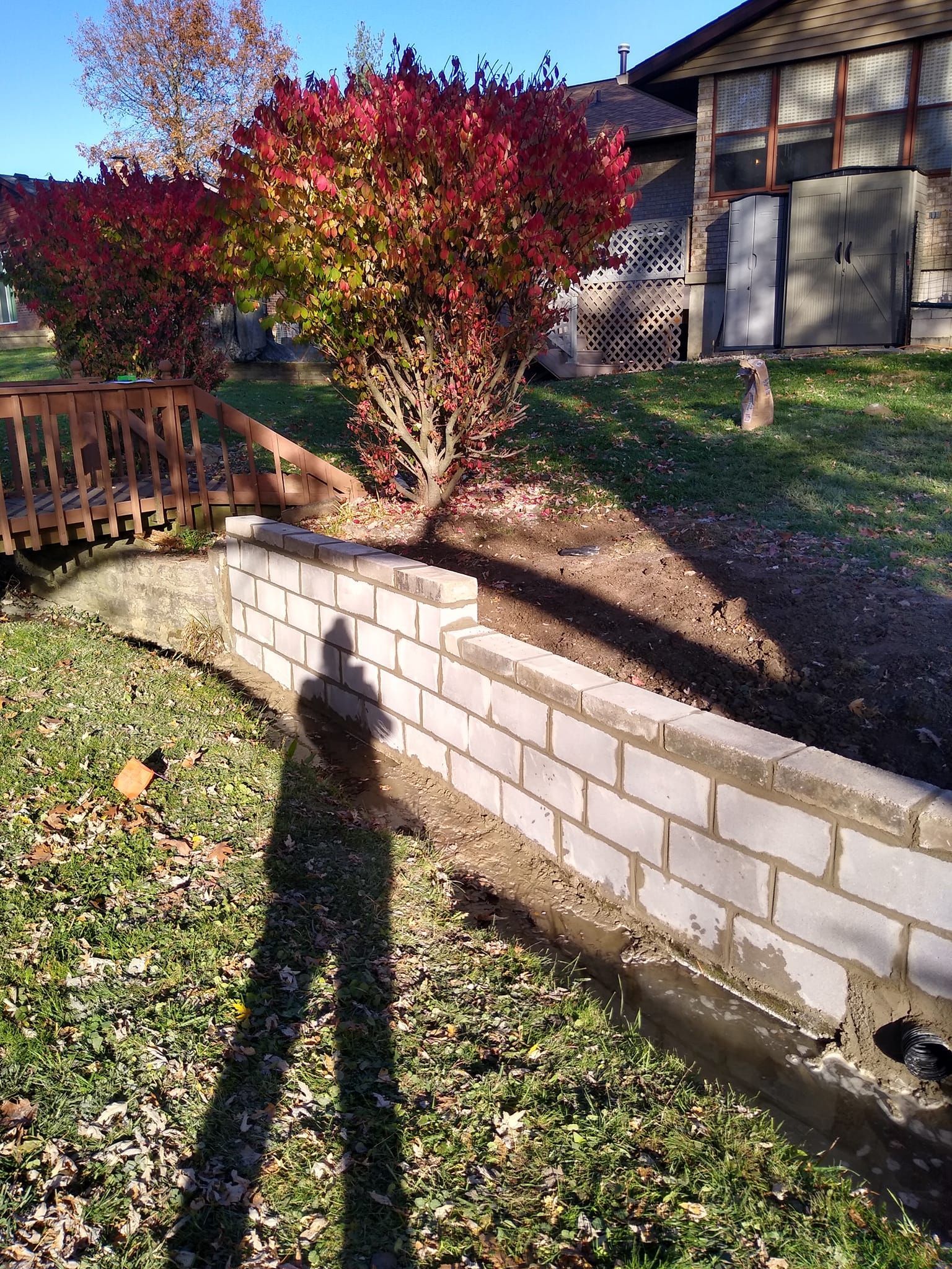 A brick wall is being built in a yard next to a tree.