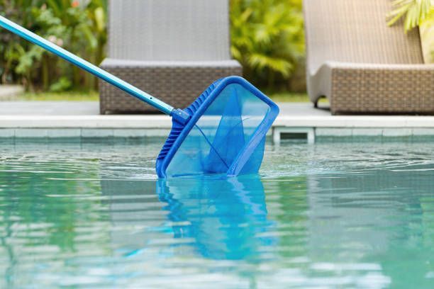 Blue pool skimmer net clearing debris from clear swimming pool water during weekly maintenance.
