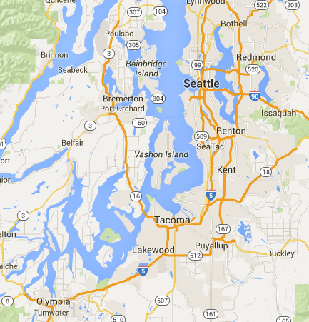 Seattle Tree Service Tacoma Tree Service Olympia Tree Service