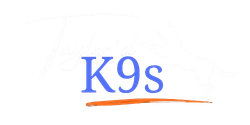 A blue and orange logo with the word k9s on a white background.