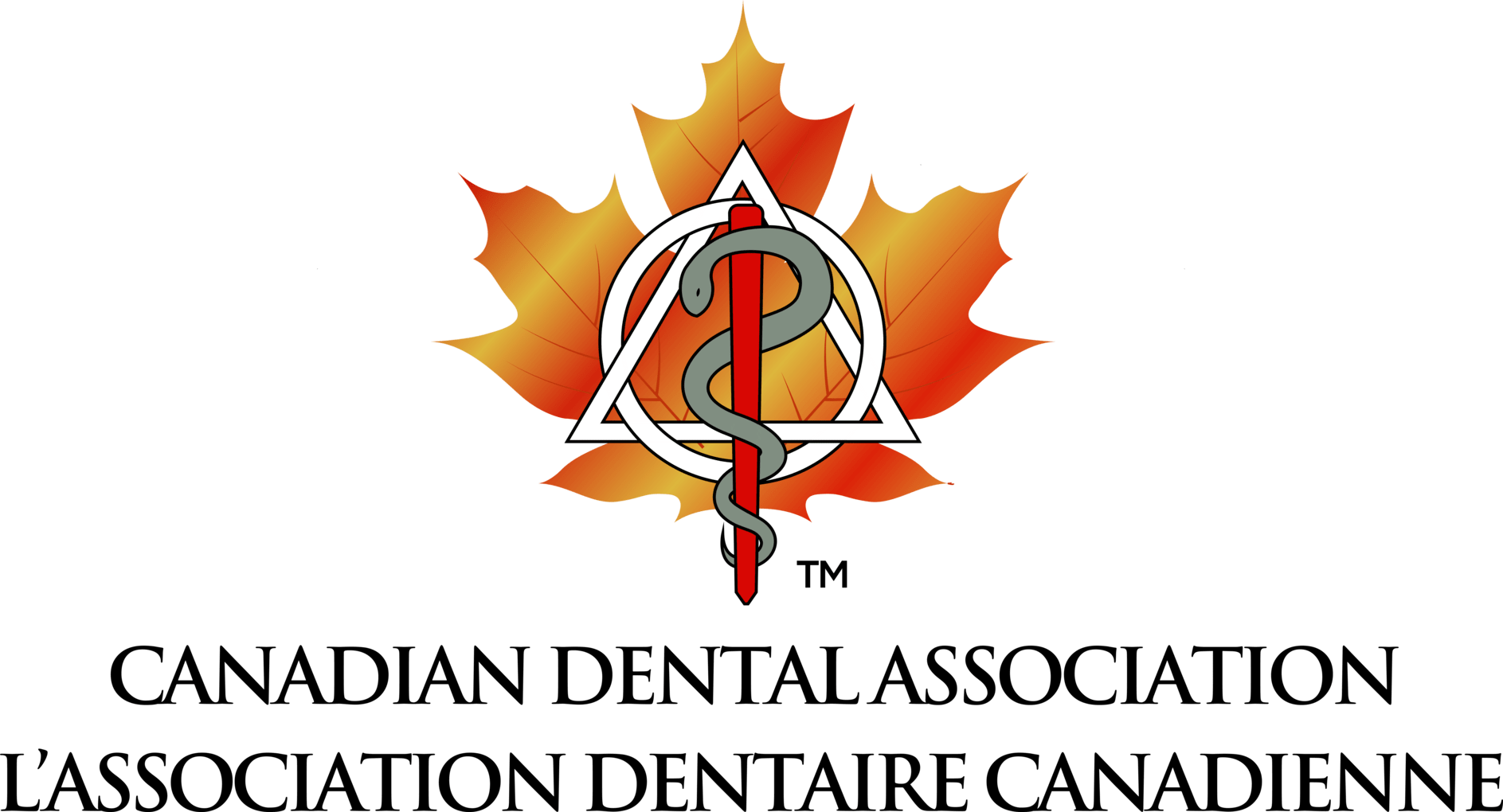 A logo for the canadian dental association with a maple leaf