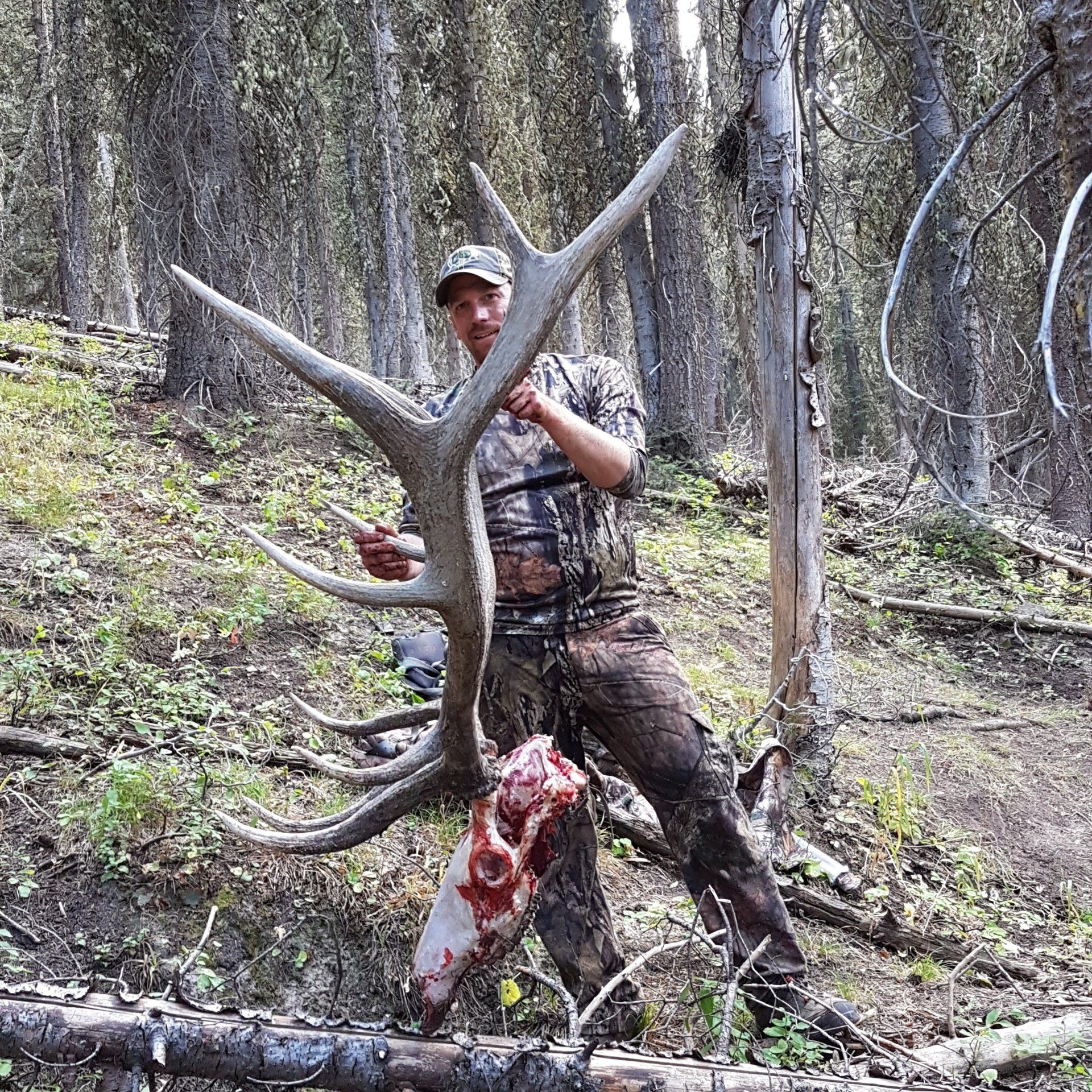Western Wyoming Elk  Hunt