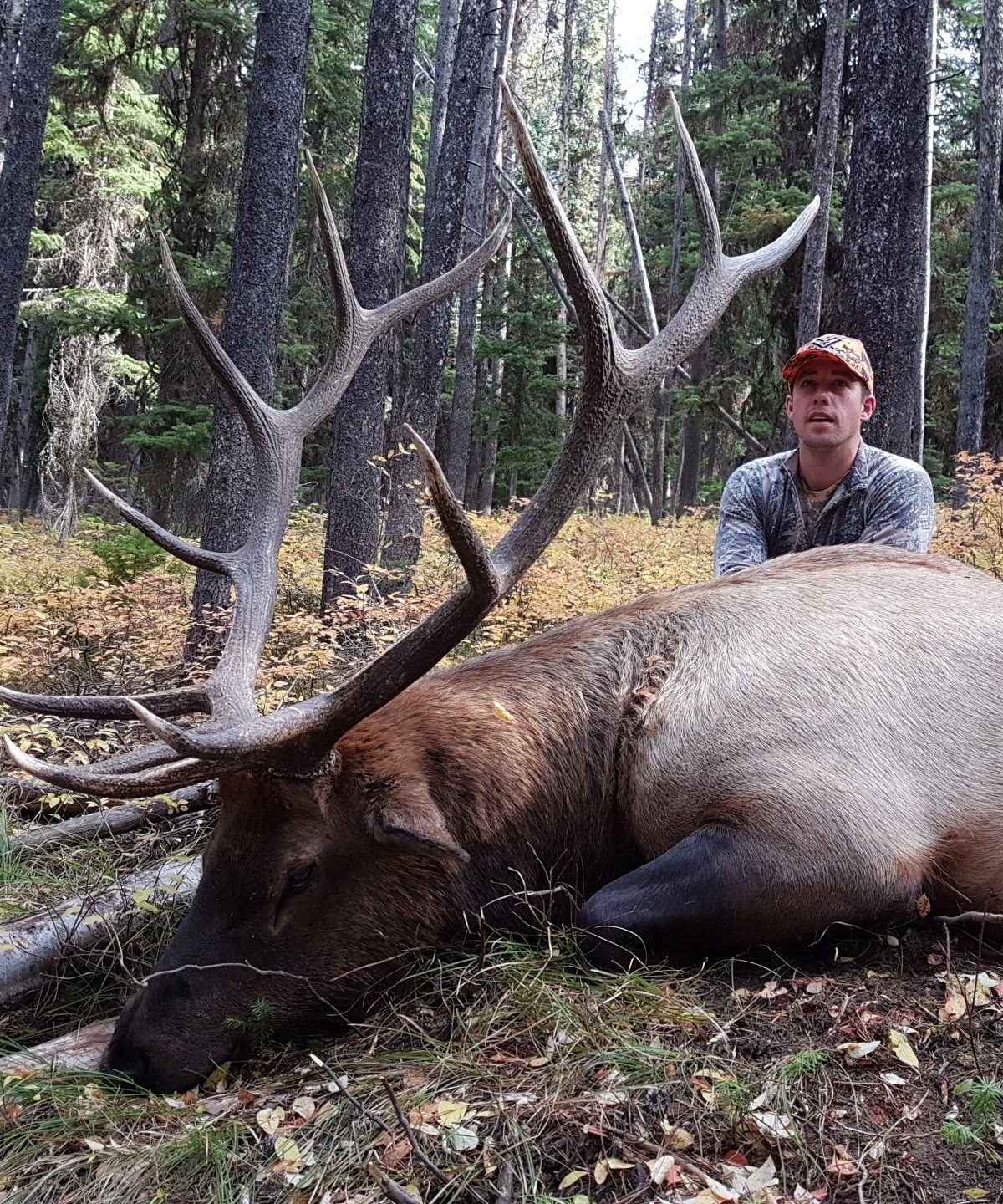 Wyoming General Elk Hunt