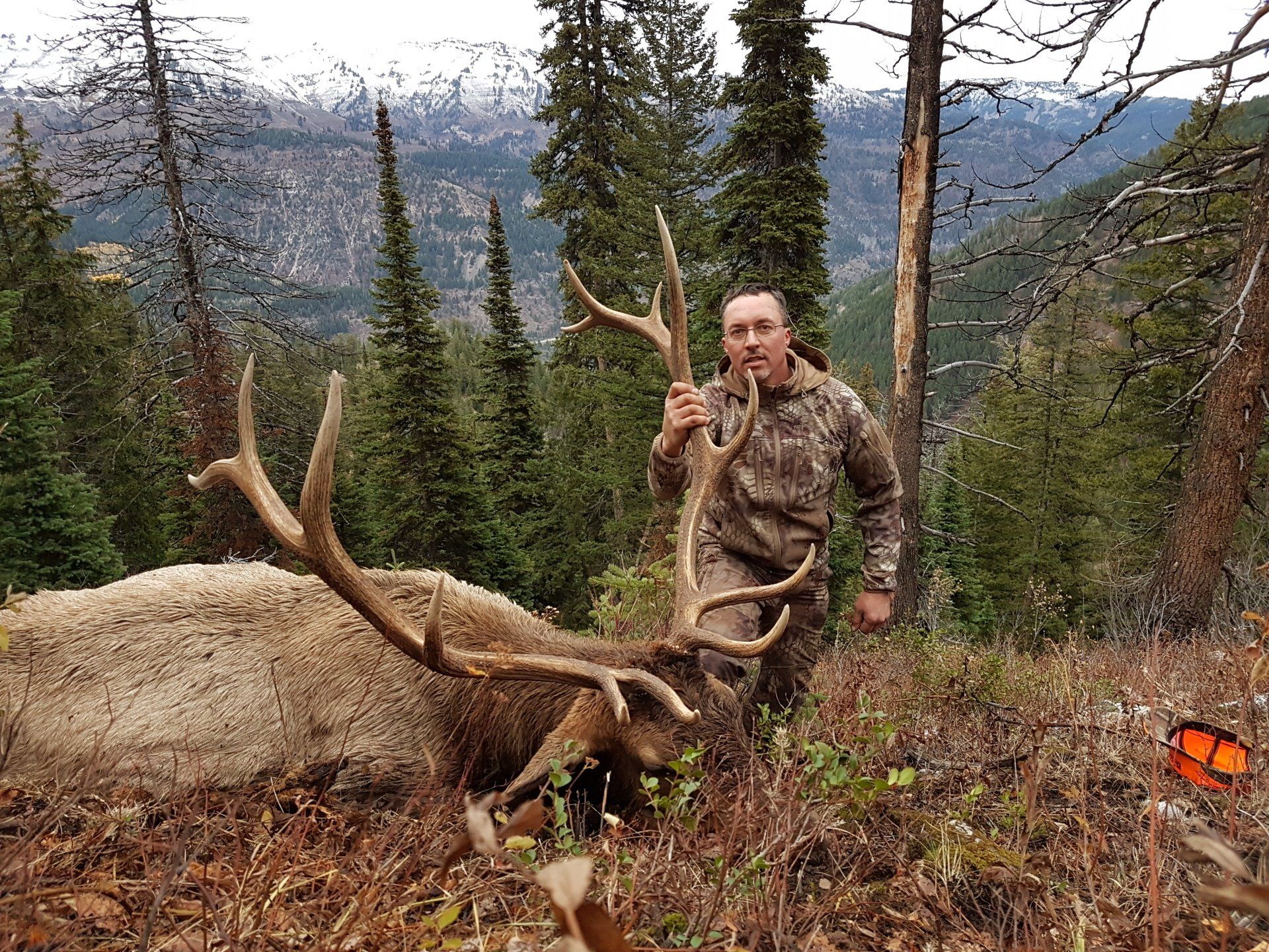 Guided Wyoming elk hunt