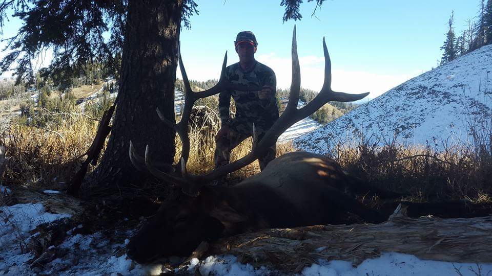 Western Wyoming Elk  Hunt