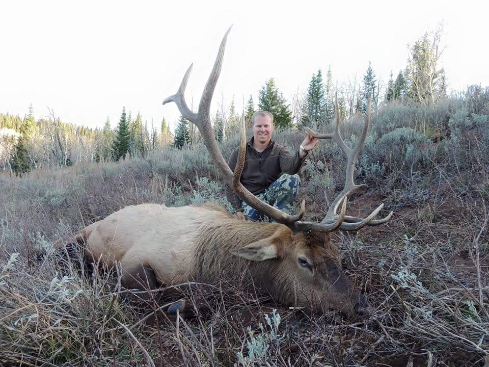 Western Wyoming Guided Elk hunt