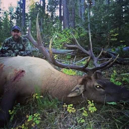 Western Wyoming Elk  Hunt