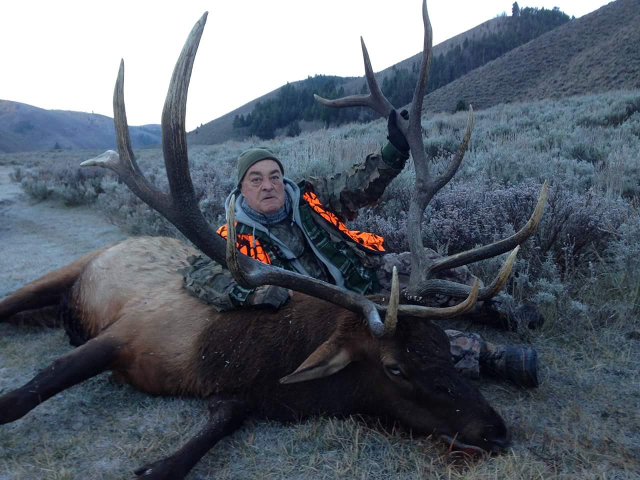 wyoming elk guide