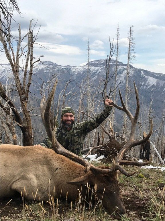 Guided Wyoming elk hunt